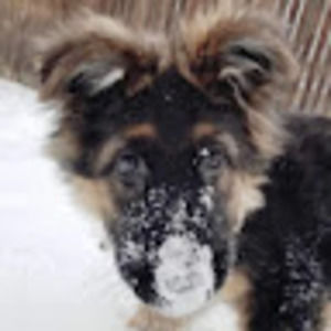 Meet your Posher, Mark